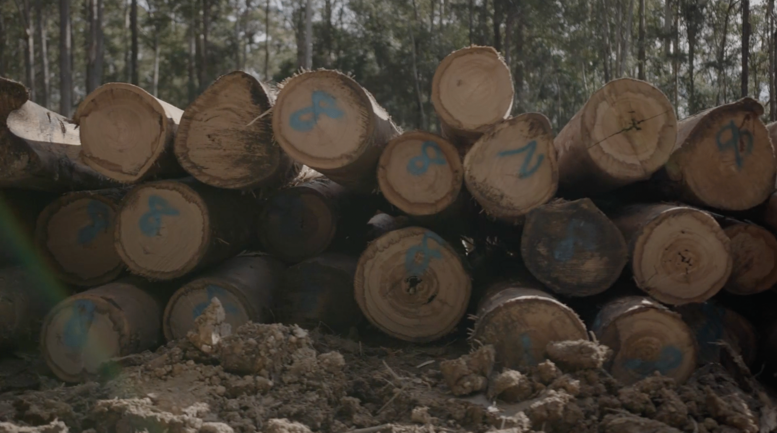 Screenshot 2025-11-28 at 3.45.46 pm